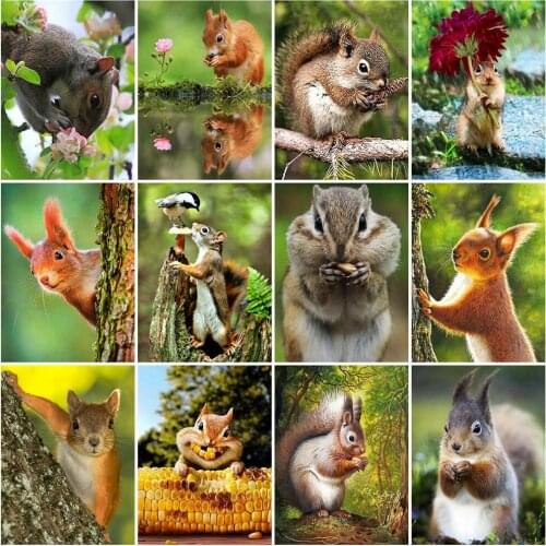Huacan 5D Diamond Art Painting Squirrel Diamond Mosaic Cross Stitch Embroidery Sets Animals Needlework Creative Hobbies