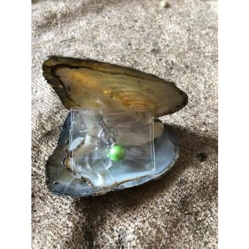 Fortune Oysters with beautiful Sterling Silver Item of Jewelry Inside Silver Ring/Earrings/Pendant in Freshwater Shell FP481