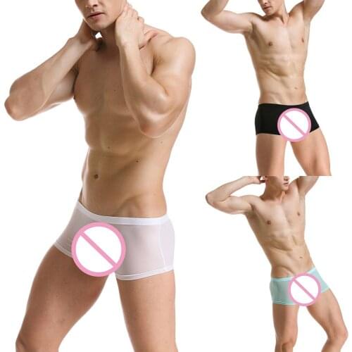 New Men Ice Silk Boxer Ultra-thin Transparent Breathable Underwear Solid Seamless White Boxershorts Male Low Waist Panties 2019