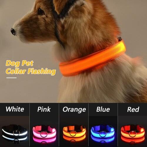 Usb Charging Led Dog Collar Safety Led Luminous Dog Pet Light Up Collar Night Nylon Necklace Glowing Leads for Dogs Night Safety