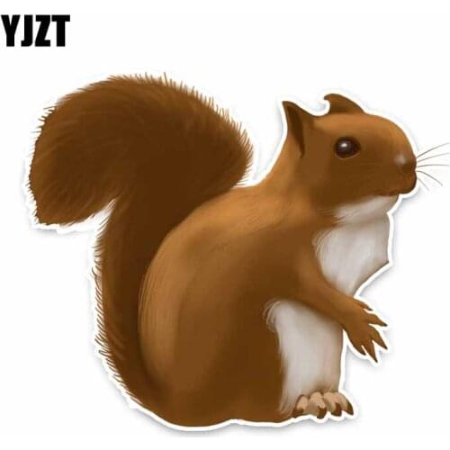 YJZT 12CM*13.5CM Cartoon Squirrel PVC Animal Decal Car Sticker Decor C29-0489