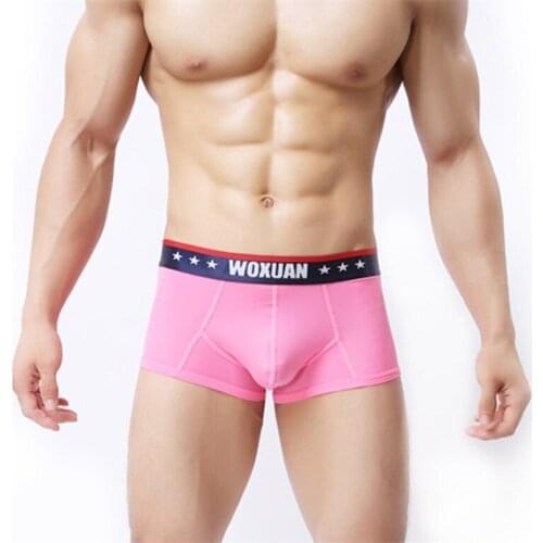 New Fashion Brand Thin Sheer Polyester Men Sexy Penis Pouch Boxers Shorts Gay Male Ice Silk Transparent Panties Underwear