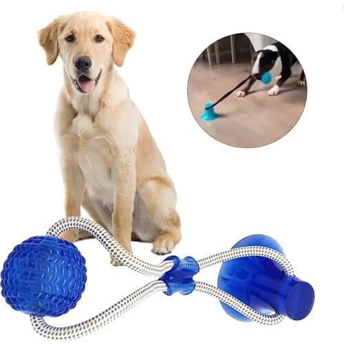 Pet Toys Dog Interactive Suction Cup Dog Push Toy Pet Molar Bite Tooth Cleaning Safe Elasticity Rubber Chew Ball Treat Puppy Toy