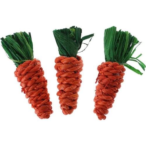 3Pcs Rabbit Chew Toys Carrot Shape Teeth Cleaner Bite Resistant Bunny Molar Toys for Small Pet