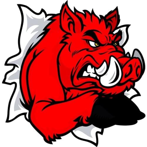 A-0028# Printed Self-adhesive Decal Wild Boar Car Sticker Waterproof Auto Decors on Bumper Rear Window