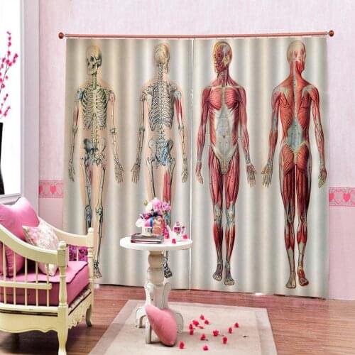 Customized 3D Curtains Human Anatomy Shower Curtain Vintage Chart of Body Front Back Skeleton and Muscle System Bone Mass