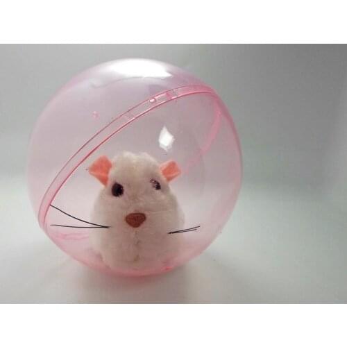 HOGNSIGN Educational Toys