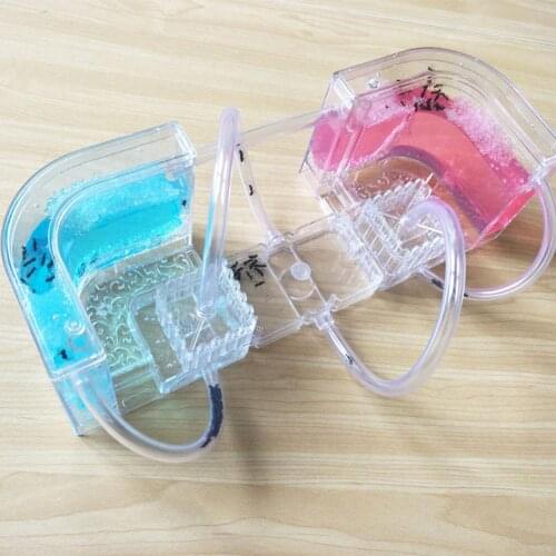 Funny Ant Nest Villa Luminous Colorful Specially Ants House Decoration Art Pet Toy Ant Farm Kids Gift Transparent Habitat