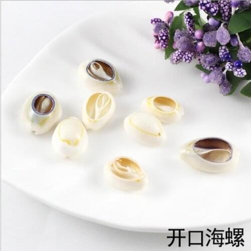 Grey Natural Sea Shell Craft Accessories for Seashore Party and Home Decoration 50pcs