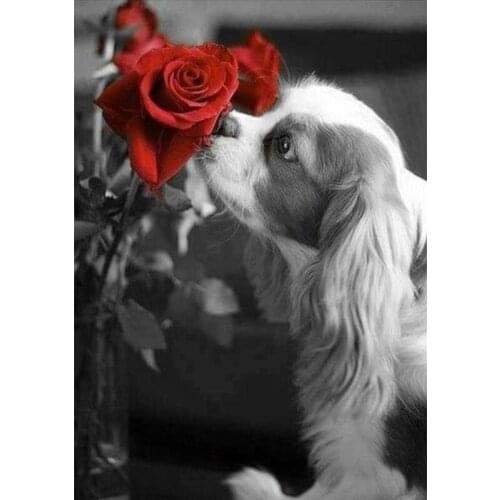 Diamond Painting Full Square Cat and Dog Animal Mosaic Embroidery Cross Stitch Kit 5D DIY Home Decoration Gift