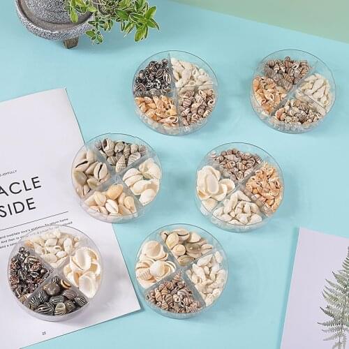 A Box of 4 Varieties Mixed with Natural SeaShells Conch Starfish Childrens Toys and Gifts Home Decoration Fish Tank Landscaping