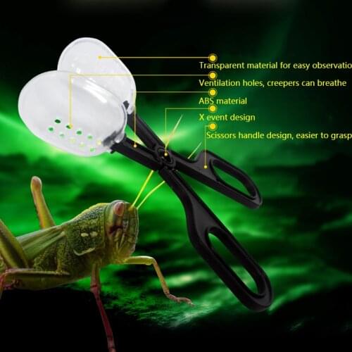 Reptile clip transparent clip cleaning tool pet reptile tortoise lizard frog spider cleaning clip Amphibian supplies