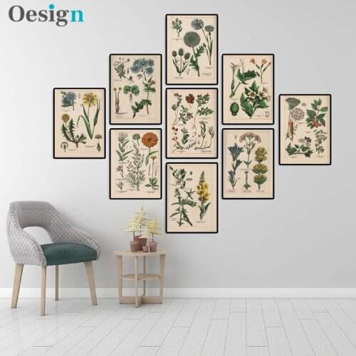 Botanical Collection Vintage Posters and Prints Herbs 1898s Russian Language Wall Art Pictures Canvas Painting Home Wall Decor