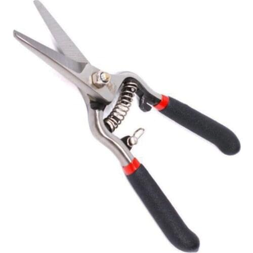 8 Inch Florist Scissors for Herbs Grape Trimmers with Spring Curved Safety Lock Pruning Shears Multi Use Garden Snips