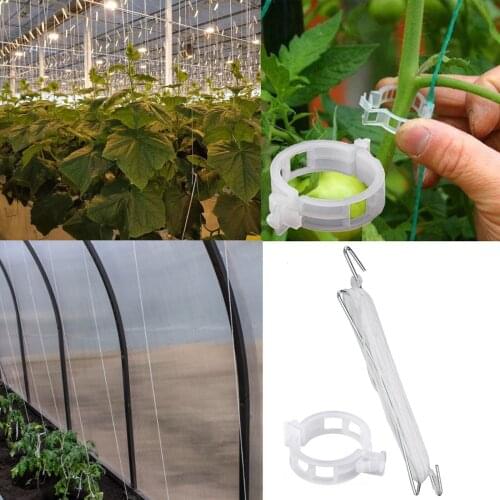 20pcs Plant vegetable hook Plant growth puller Hook Tomato Support Clips Vegetable Support Prevent Tomatoe from Pinching