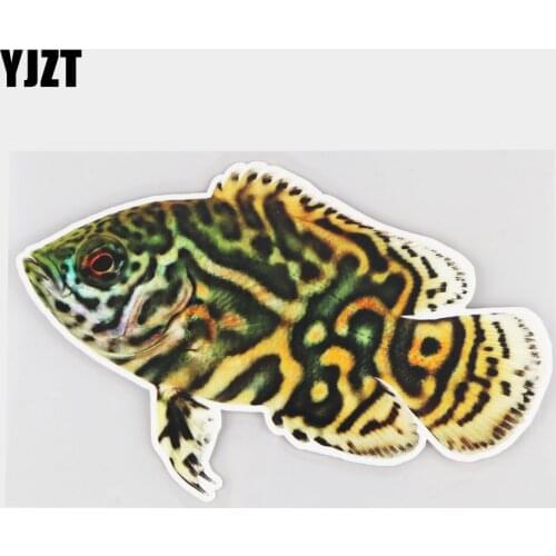 YJZT 17.5×11.1CM Animal Fish Funny Body Decoration PVC Decals Cartoon Car Stickers Accessories 21A-0134