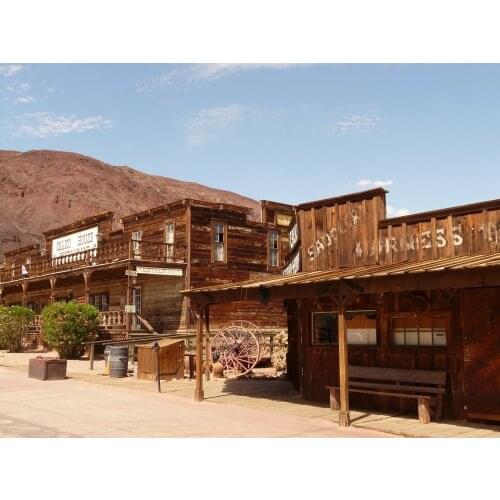 Wild West Cowboy Village Town photo backdrop Vinyl cloth High quality Computer print party photo studio background