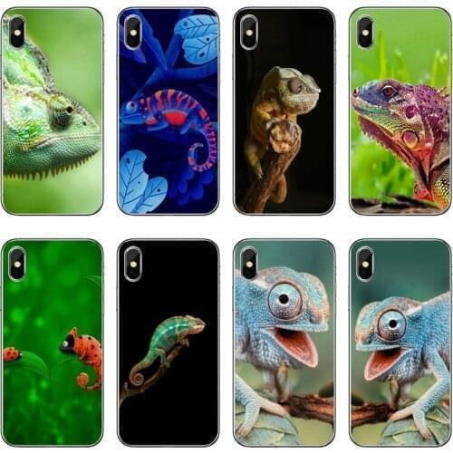 Animal Chameleon Accessories Phone Case For Xiaomi Redmi Note 8 7 6 5A 4 Pro Redmi 7 7A K20 6 6A 5A 4A 4X 5 Plus S2