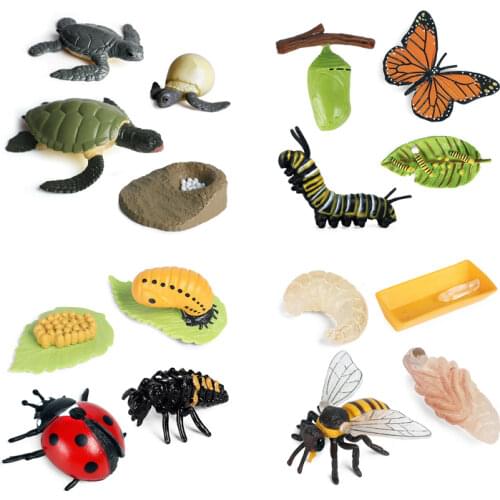 New Simulation insect Animals Growth Cycle Sea turtle Ladybug bee butterfly Action Figures Educational Kids Toys Baby Early Toys