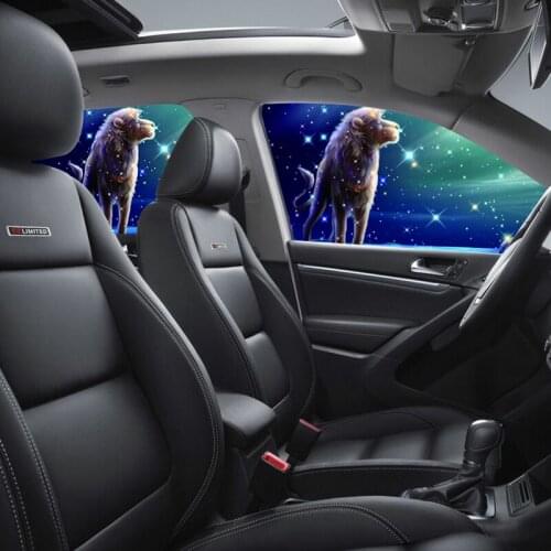 STARPARTNER Car Blinds