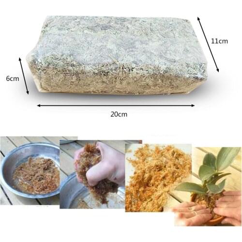 6L High Quality Dry Sphagnum Moss Nutrition Soil For Flower Planting & Micro Landscape & DIY Garden Accessories