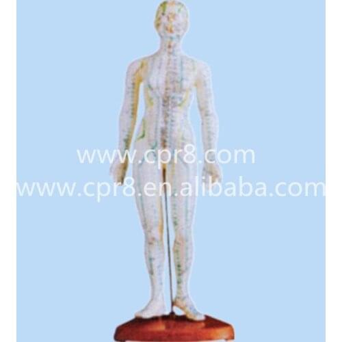 BIX-Y1009 48cm Human Female Acupuncture Model MQ092