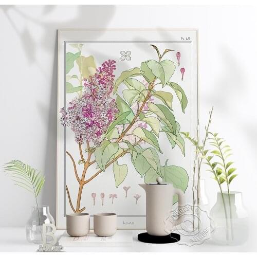 Lilac Botanical Prints Poster, Eugene Grasset Exhibition Museum Poster, Art Nouveau Vintage Plante Canva Painting Home Decor