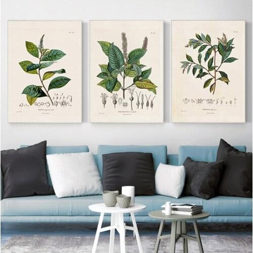 Botanical Studies Vintage Posters and Prints Antique French Plant Illustrations Canvas Painting Botany Wall Art Pictures Decor