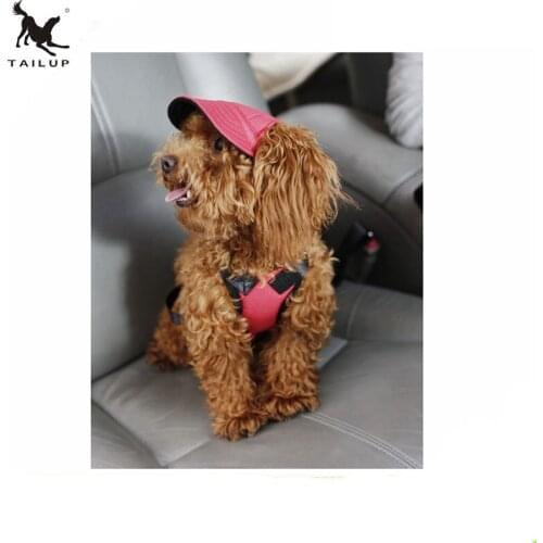 TAILUP Sun Hat For Dogs Large Size L/XL 100% Cotton Small Medium Pet Chihuahua Baseball Cap
