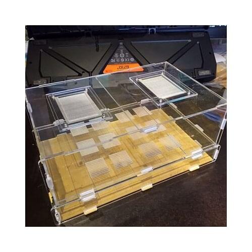 Bread worm and cherry tarts breeding box