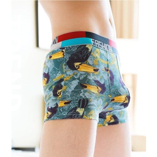 4 Pieces Mens Panties Print Breathable Mens Underwear Boxer Shorts Cotton Mid Waist Male Sexy Big Size Soft Underpants New