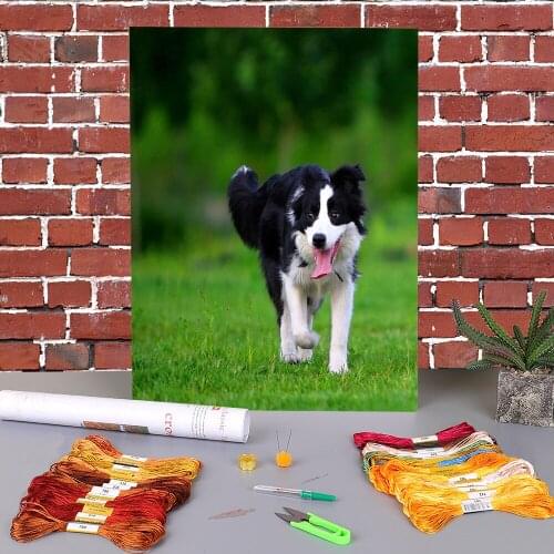 Animal Border Collie Printed Water-Soluble Canvas 11CT Cross-Stitch DIY Embroidery Kit DMC Threads Handmade Hobby Design