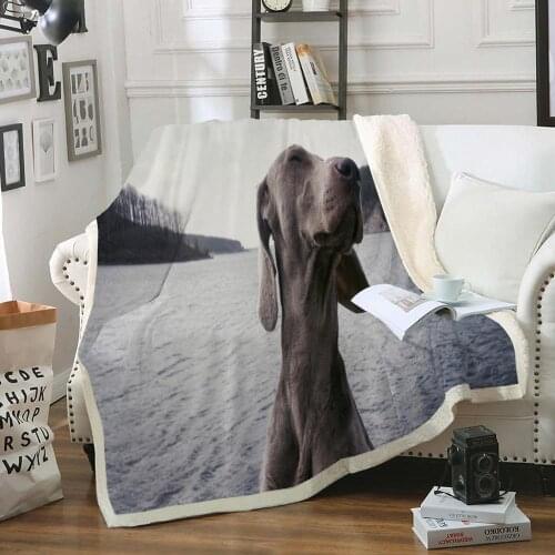 Sausage Dog Blanket Animals Throw Blanket Cute Dog Sherpa Fleece Blanket Soft Warm Plush Blanket For Boys Girls Kids Blanket