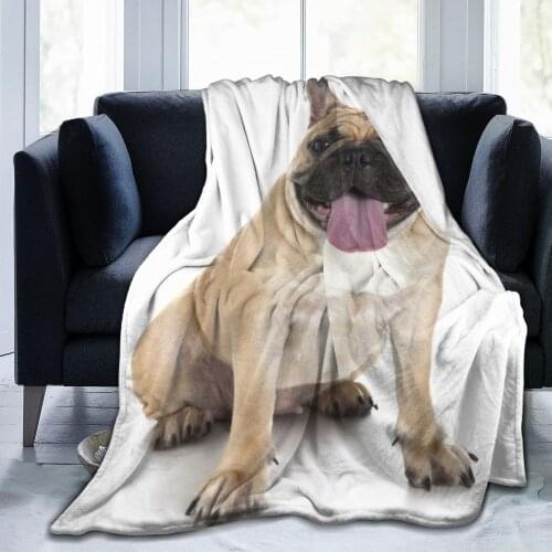 French Bulldog sofa bedroom warm blanket 3D printing blanket air conditioner quilt throw sheet adult home textile children gift