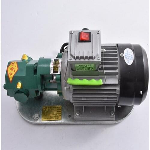 WCB-75 Self-Priming Gear Oil Pump Portable Cast Iron High Temperature Electric Gear Pump 750W Small High Viscosity Oil Pump 220V