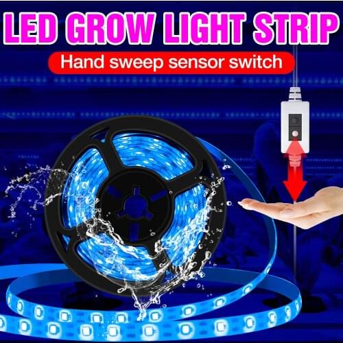 Indoor 5V Plant Grow Lamp Strip 0.5M 1M 2M 3M Phyto Light LED Full Spectrum Flower Hydroponics Seed USB Grow Lamp LED Fitolampy