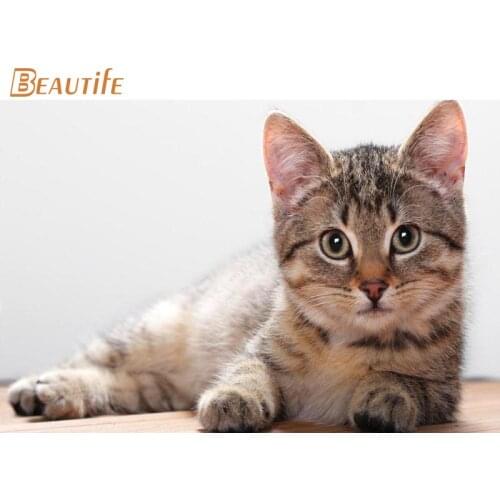 New Arrival Cute Cat Poster Cloth Silk Poster Home Decoration Wall Art Fabric Poster Print 30x45cm,40X60cm.50X75cm,60X90cm