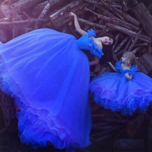 Royal Blue Flower Girl Dresses for Wedding Cinderella Girls Dress Princess Children Birthday Pageant Fancy Wedding Dress Costume