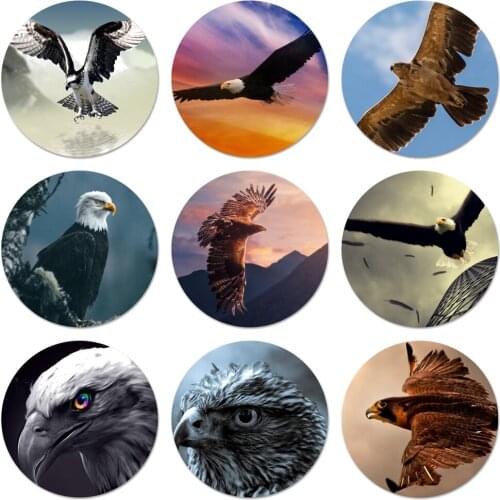 Eagle Icons Pins Badge Decoration Brooches Metal Badges For Clothes Backpack Decoration 58mm