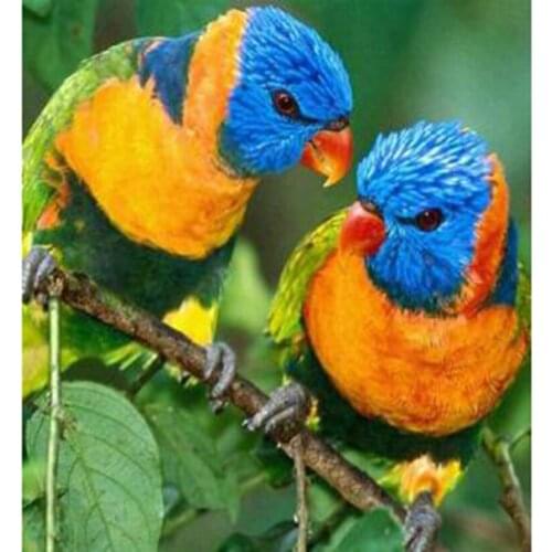 5D DIY Animal Painting Diamond Painting Square/Round Diamond Two Birds Picture Cross Stitch Decoration Artwork TX079