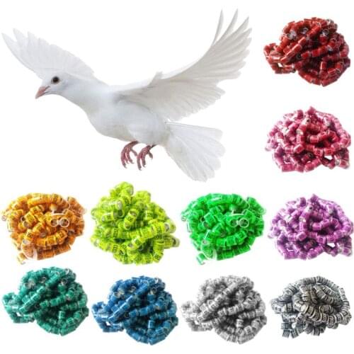 100Pcs 2021 Multicolor Pigeon Identify Rings Leg Foot Rings Training Tool Aluminium Durable Bird Ring Racing Bird Tools