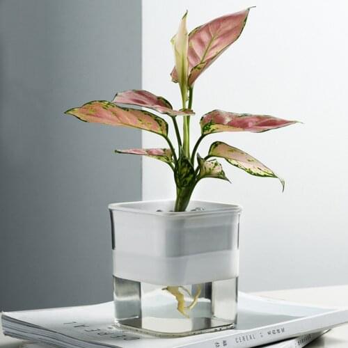 Plastic Hydroponic Boxes Creative Flower Pot Basin for Plants Self Watering Device Flowers Water Feeder Garden Tool