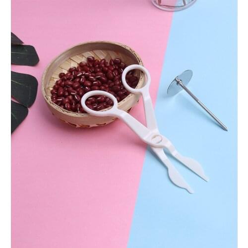 2Pcs Piping Flower Scissors Nail Safety Rose Decor Lifter Fondant Cake Decorating Tray Cream Transfer Baking Pastry Tools