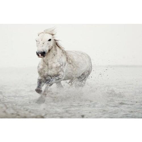 D0801 Galloping Horses Silk Fabric Poster Art Decor Indoor Painting Gift