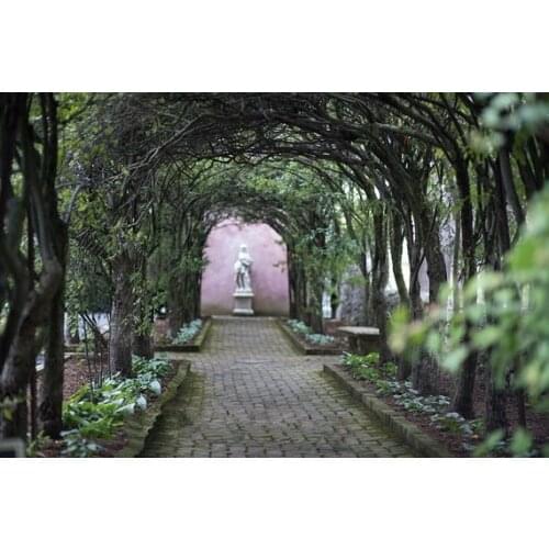 Arch Garden Archway Hallway Road backdrop High quality Computer print wedding backgrounds