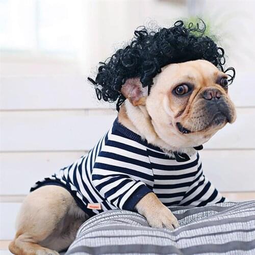 Pet Dog Wig Cosplay Cap for Small Puppy Dogs Cats Cute Lovely Hair Loop Head Wear Dog Pet Hat Hair Costume