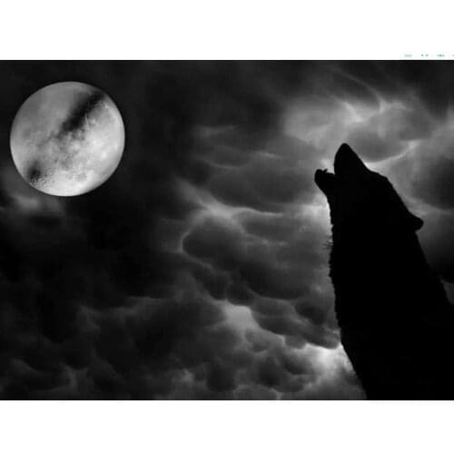 Landscape diamond painting moon wolf animal embroidery mosaic diamond dotz diy rhinestone picture puzzle toy drawing wall decor