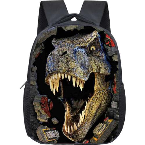 Dinosaur Magic Dragon Backpack for Kids Animals Children Schoolbags Boys Girls School Bags Kindergarten Backpack Book Bag