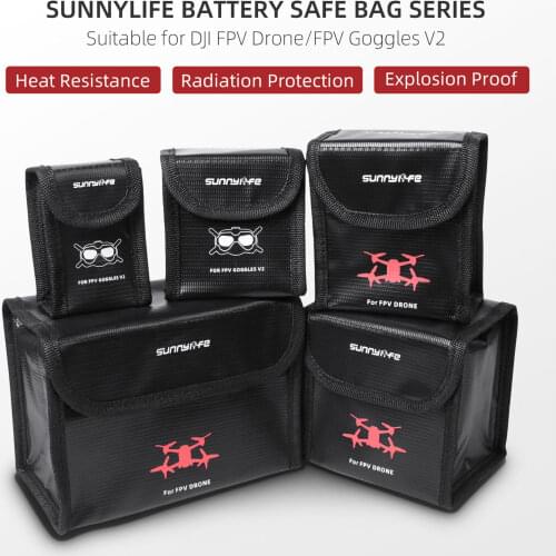 FPV Goggles BATTERY SAFE BAG Bundle Set For DJI FPV Drone and Goggles V2 Glass