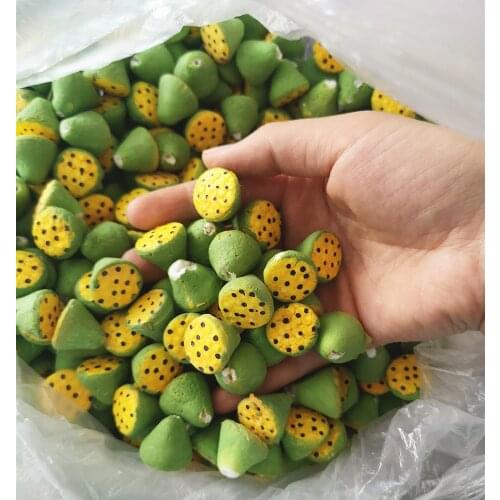 10pcs 2cm/0.78inch Foam Plant Mini Lotus Pod Centers Artificial Flowers for Home Decoration DIY Crafting Accessories